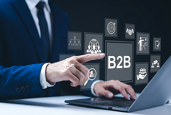 Government & B2B Project Execution